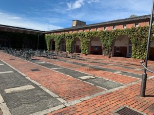 Ivy Square