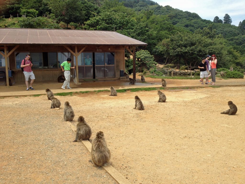 Arashiyama Monkey Park Samurai Tours