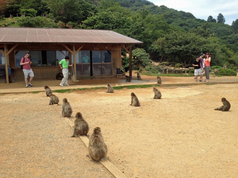 Arashiyama Monkey Park