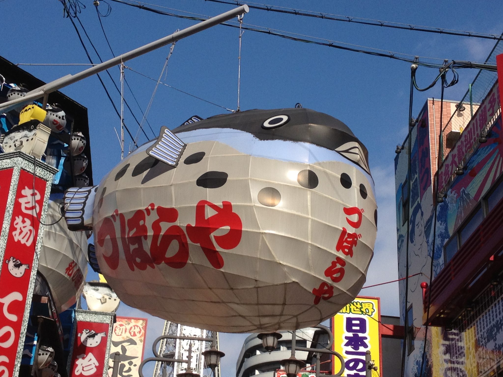 Fugu (Pufferfish) in Osaka Samurai Tours