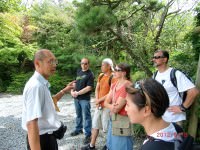 Tour Group