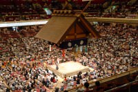 Sumo Ring