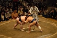 Sumo Match