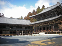 Daikodo