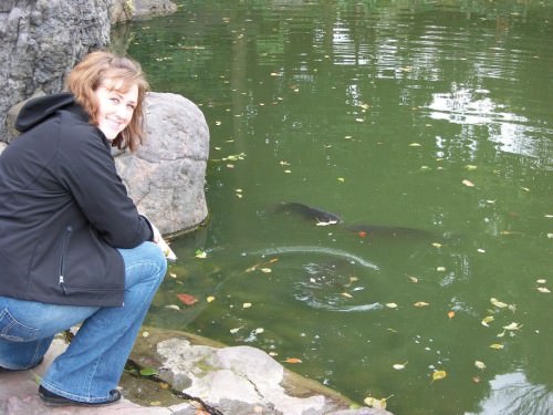 Feeding fish at the Kiyosumi Gardens