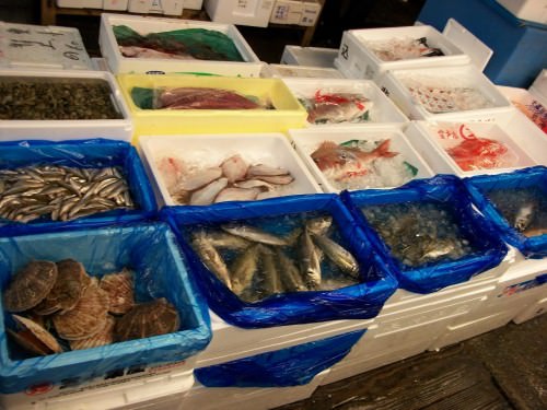 Tsukiji Fish Market