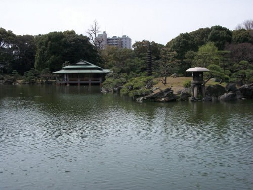 Feeding fish at the Kiyosumi Gardens