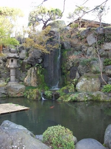 garden at restaurant