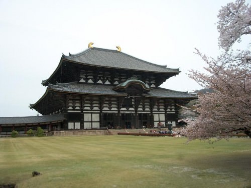 great buddha building