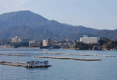 Oyster Farms