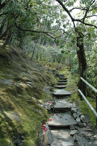 Ginkakuji - Kyoto Ginkakuji - Kyoto