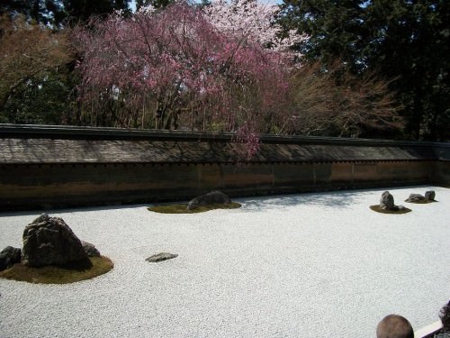 rock garden