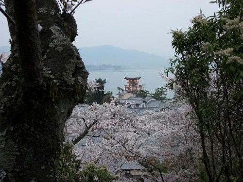 view