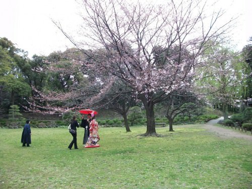 Bride and Groom at Kiyosumi Gardens